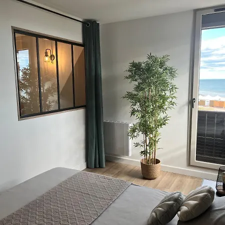 Apartamento En Front De Mer, Magnifique 6 Pers. Agde